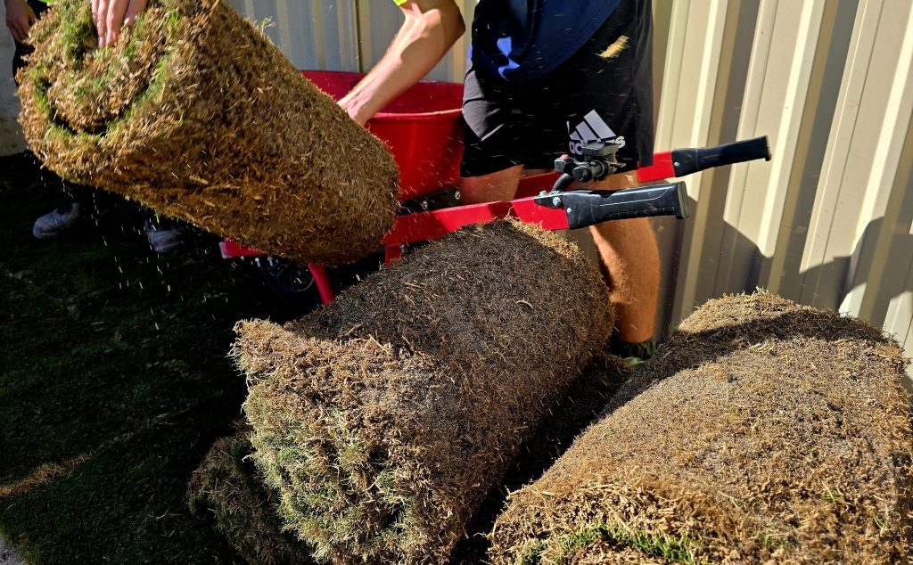 Rolls of Wintergeen Turf