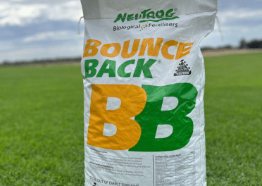 Bounceback_Slider