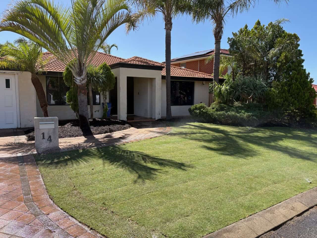 Wintergreen Couch Lawn in Carramar