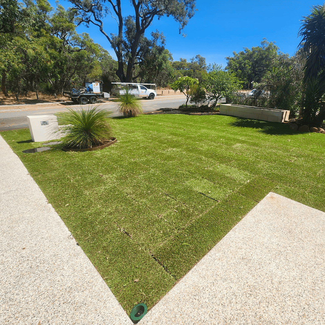 Residential Lawn (2)