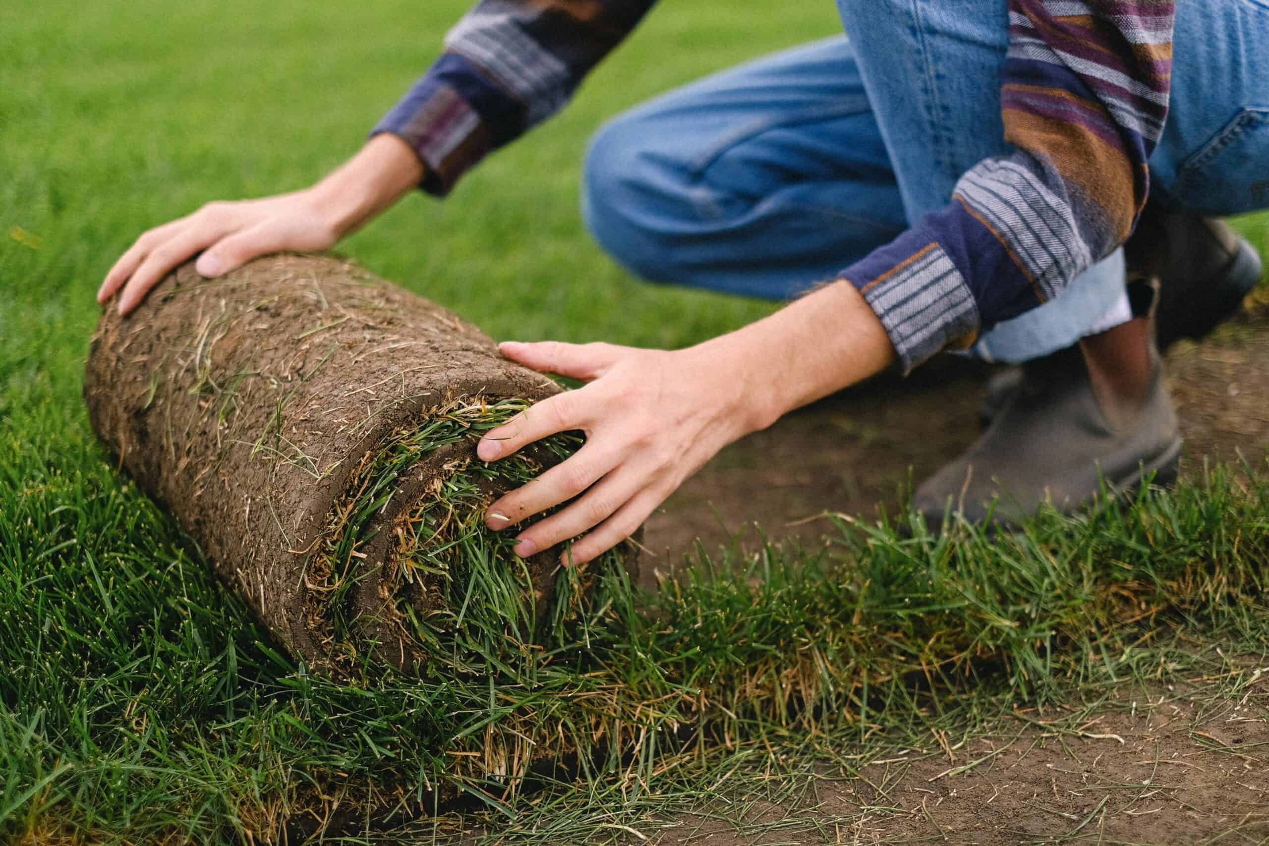 Turf Install