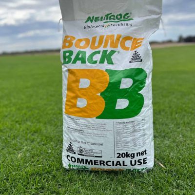 BounceBack