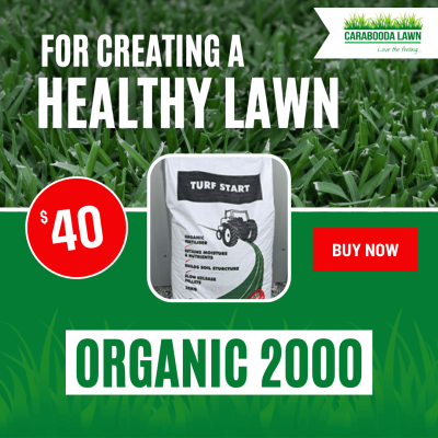 Organic 2000